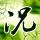 定制新版西康乃狄克州立大学毕业证【degxx.com】